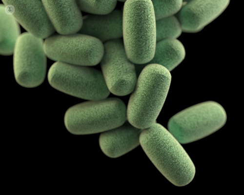 Three-dimensional (3D), computer-generated image of a cluster of barrel-shaped, Clostridium perfringens bacteria, which causes gangrene