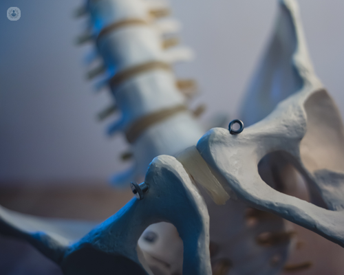 Model of spine, which is an area that is operated on for robotic spine surgery