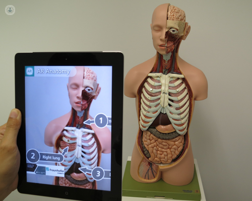 3D figure of the body and it's respiratory system, while a tablet shows the figure with augmented reality features