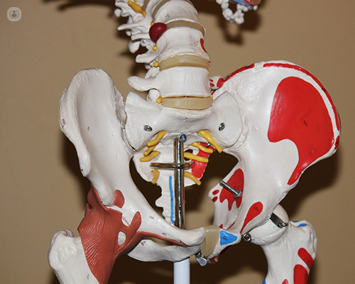 A 3D skeletal diagram of the hip