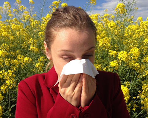Woman with hay fever conjunctivitis sneezing in a field